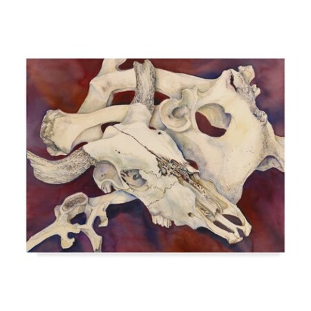 Trademark Fine Art Joanne Porter 'Remnants' Canvas Art, 24x32 ALI30334-C2432GG